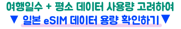 일본-eSIM-4일-데이터-용량-기준