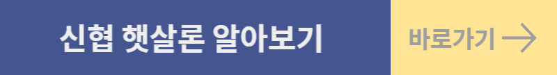 디딤돌 대출