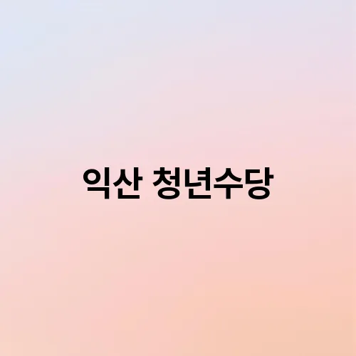 익산 청년수당
