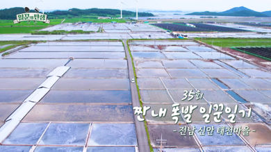 일꾼의 탄생 재방송 다시보기 - 괴산 오가마을 33회 34회&amp;#44; 신안 태천마을 35회 36회