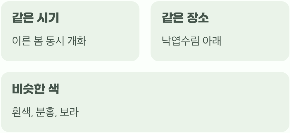 봄 숲의 쌍둥이&amp;#44; 왜 헷갈릴까요?