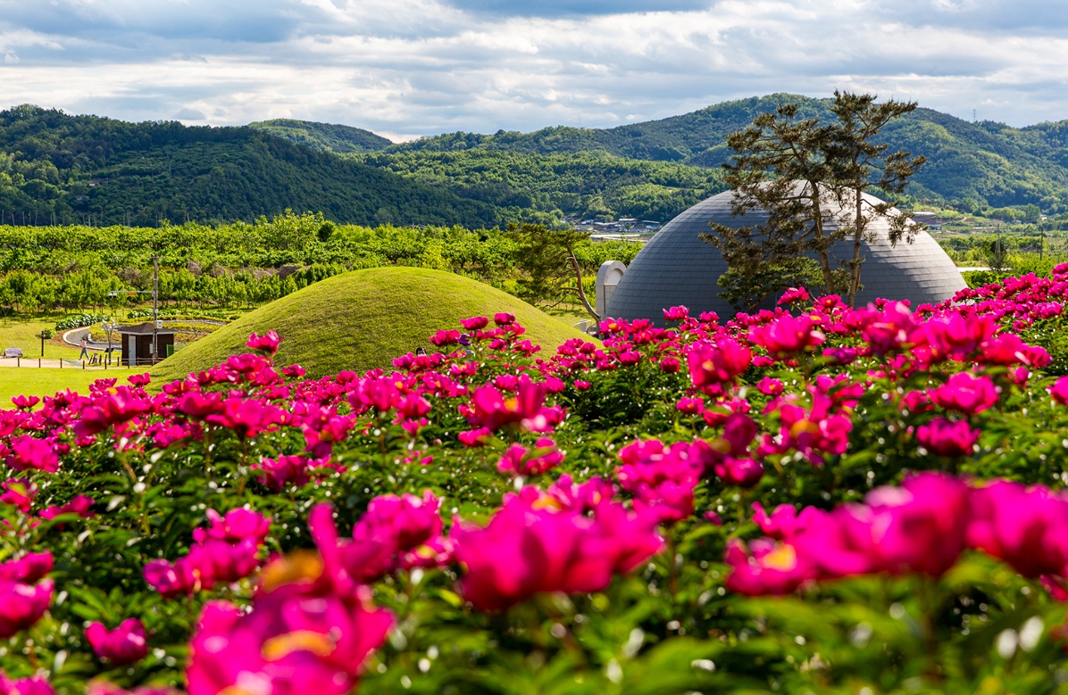 조문국 사적지 작약3