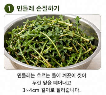 민들레장조림이미지