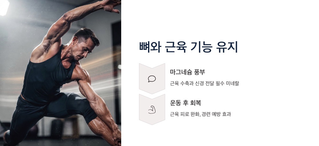 아몬드 효능 뼈와 근육