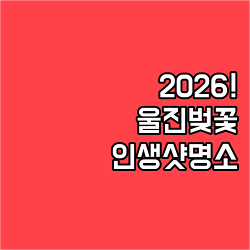 울진 벚꽃 명소별 특징과 2026년 ..