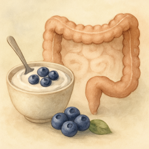 블루베리-요거트-장건강