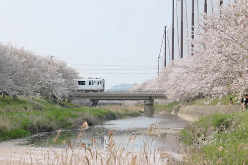일본 후쿠오카 이미지