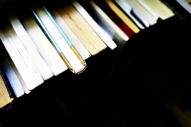 2024년 개정 교육과정 초등 중등 고등 알아보기