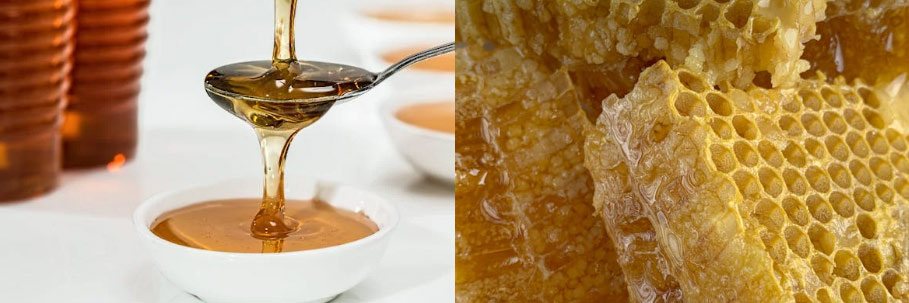 아침에 먹는 꿀 먹는 방법