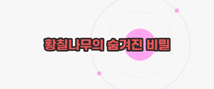 황칠나무 효능 가볍게 살펴볼까요
