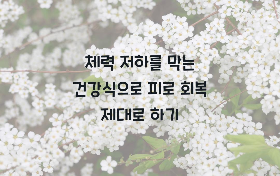 체력 저하를 막는 건강식, 피로 회복을 돕는 영양소