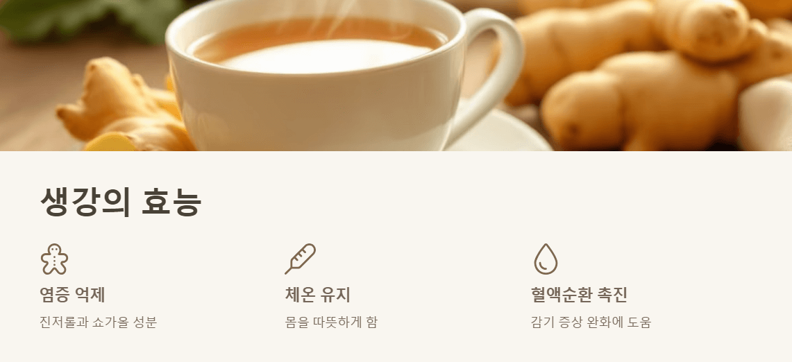 생강