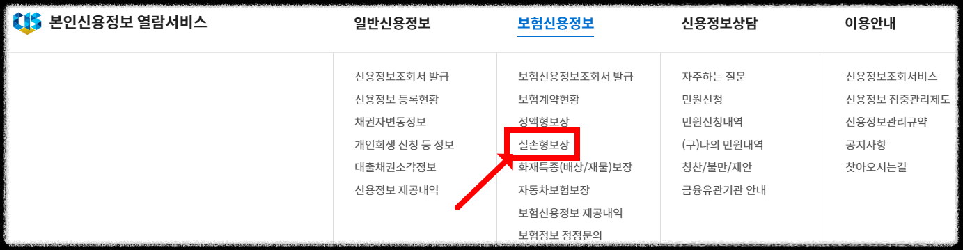 실비보험 중복가입 확인 초간단방법