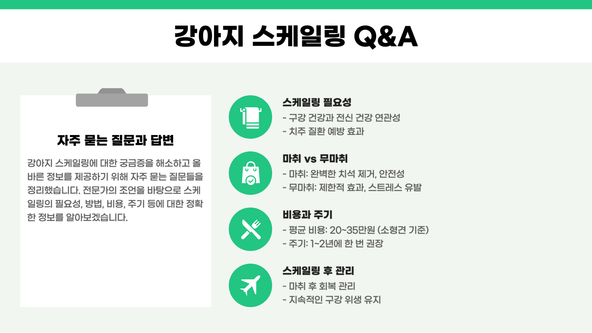 강아지 스케일링 주기 비용