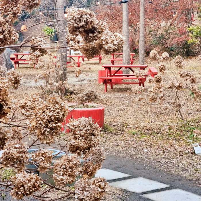 생방송오늘저녁 보령 대천 여행 바둑이네 동물원 미술관 허브랜드 모히또 허브꽃밥 디저트 플라워 카페