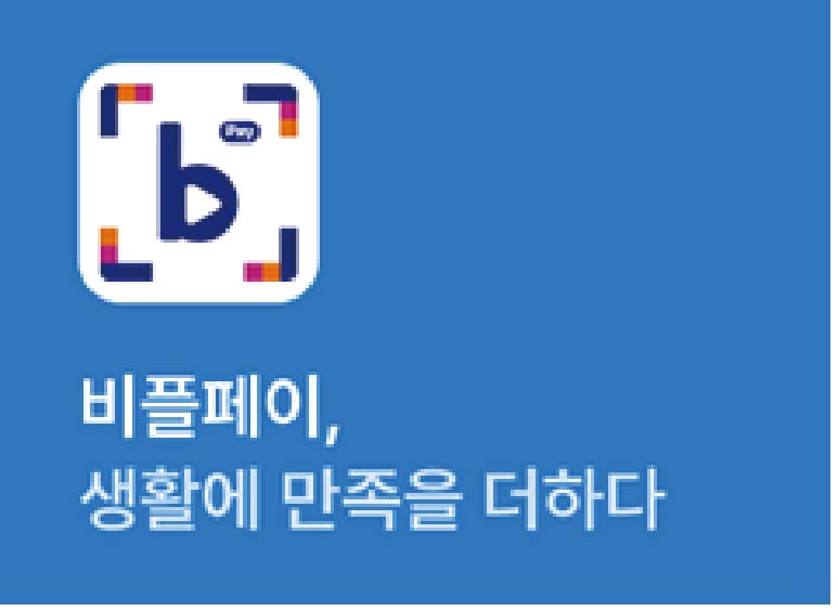 비플페이
