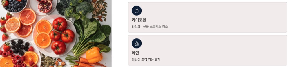 전립선에 필요한 핵심영양소