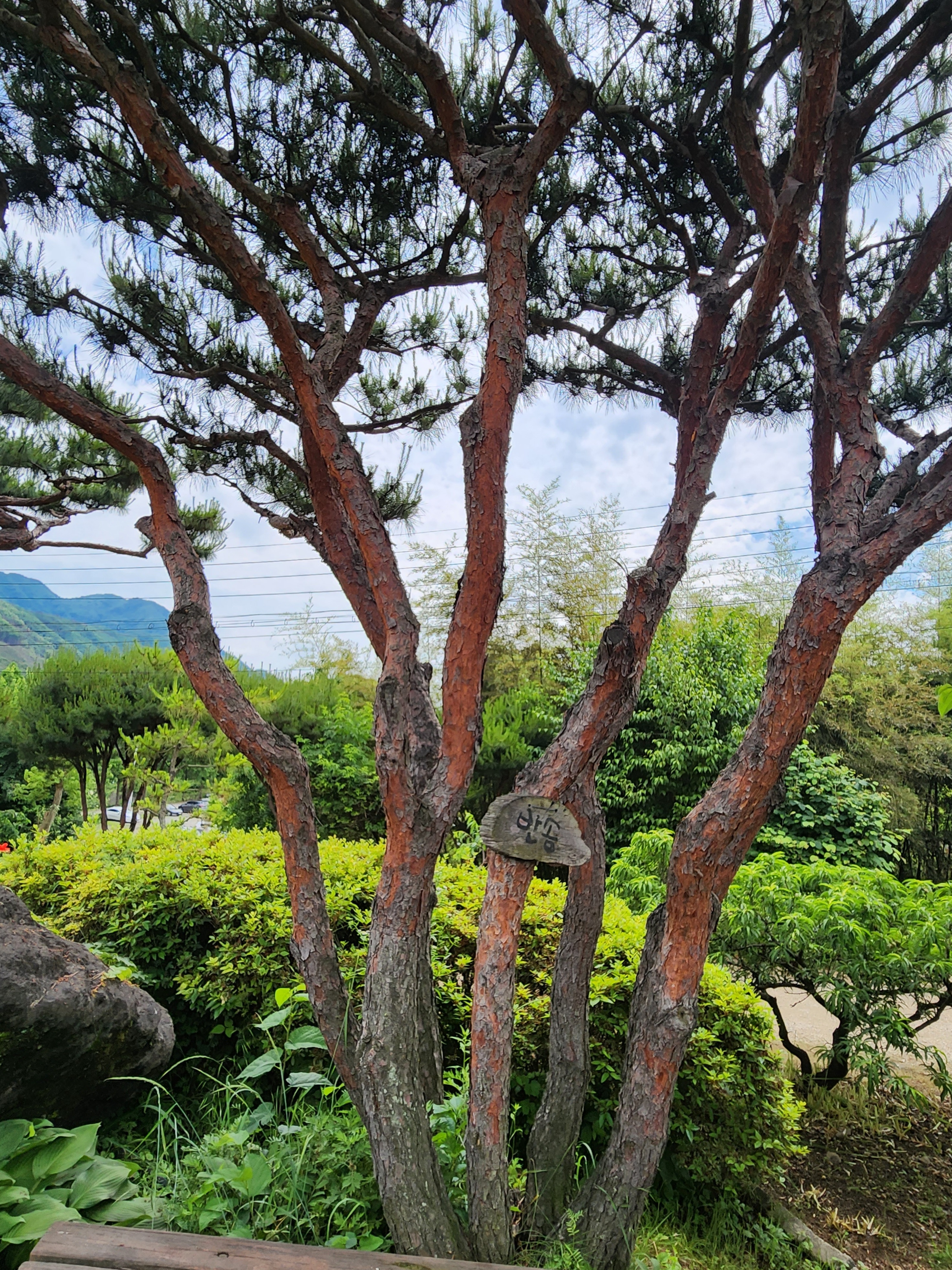 수생식물학습원
