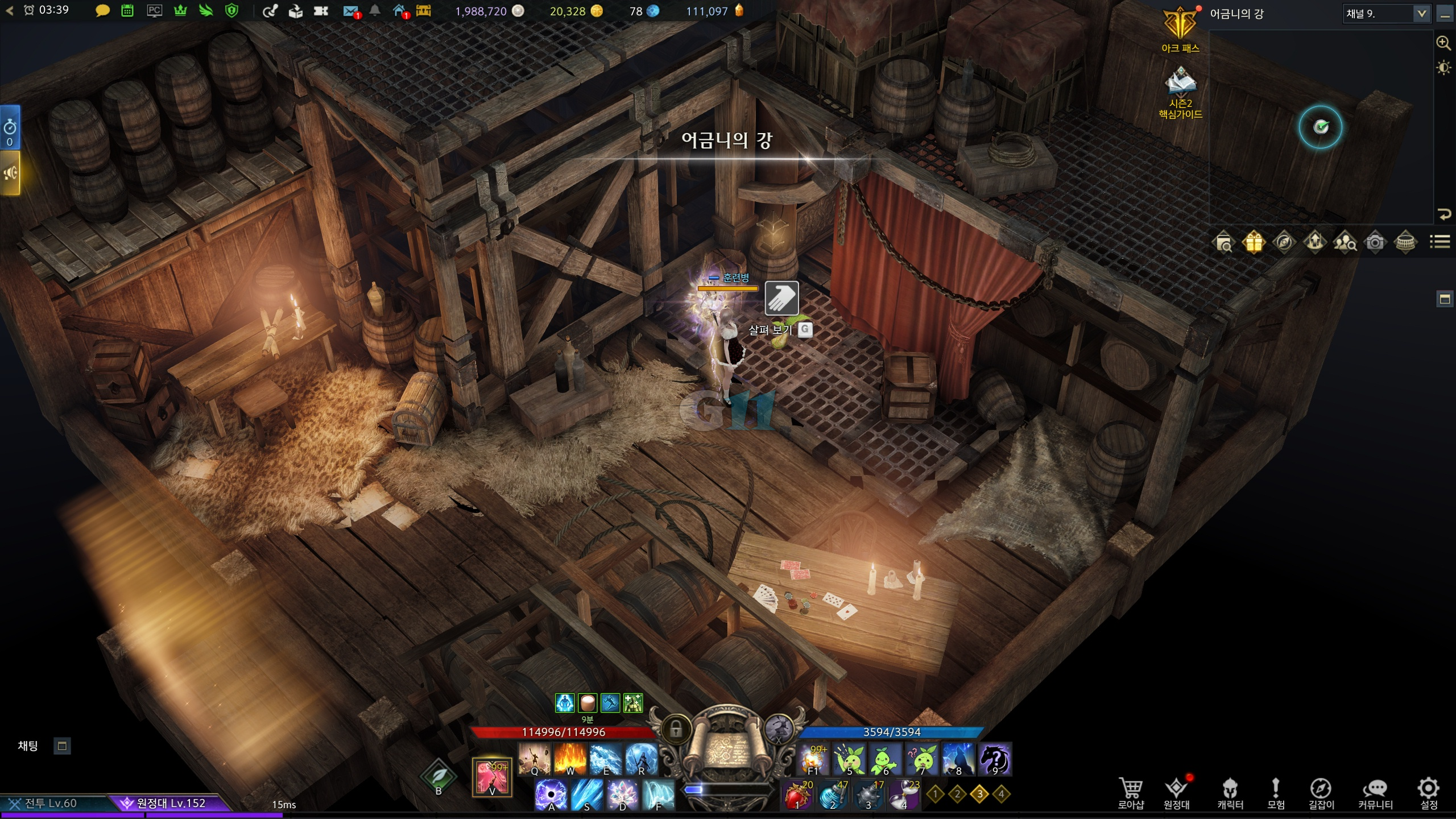 어금니의강 모코코