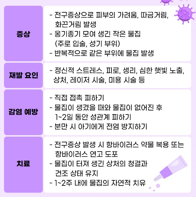 입술 헤르페스 요약표