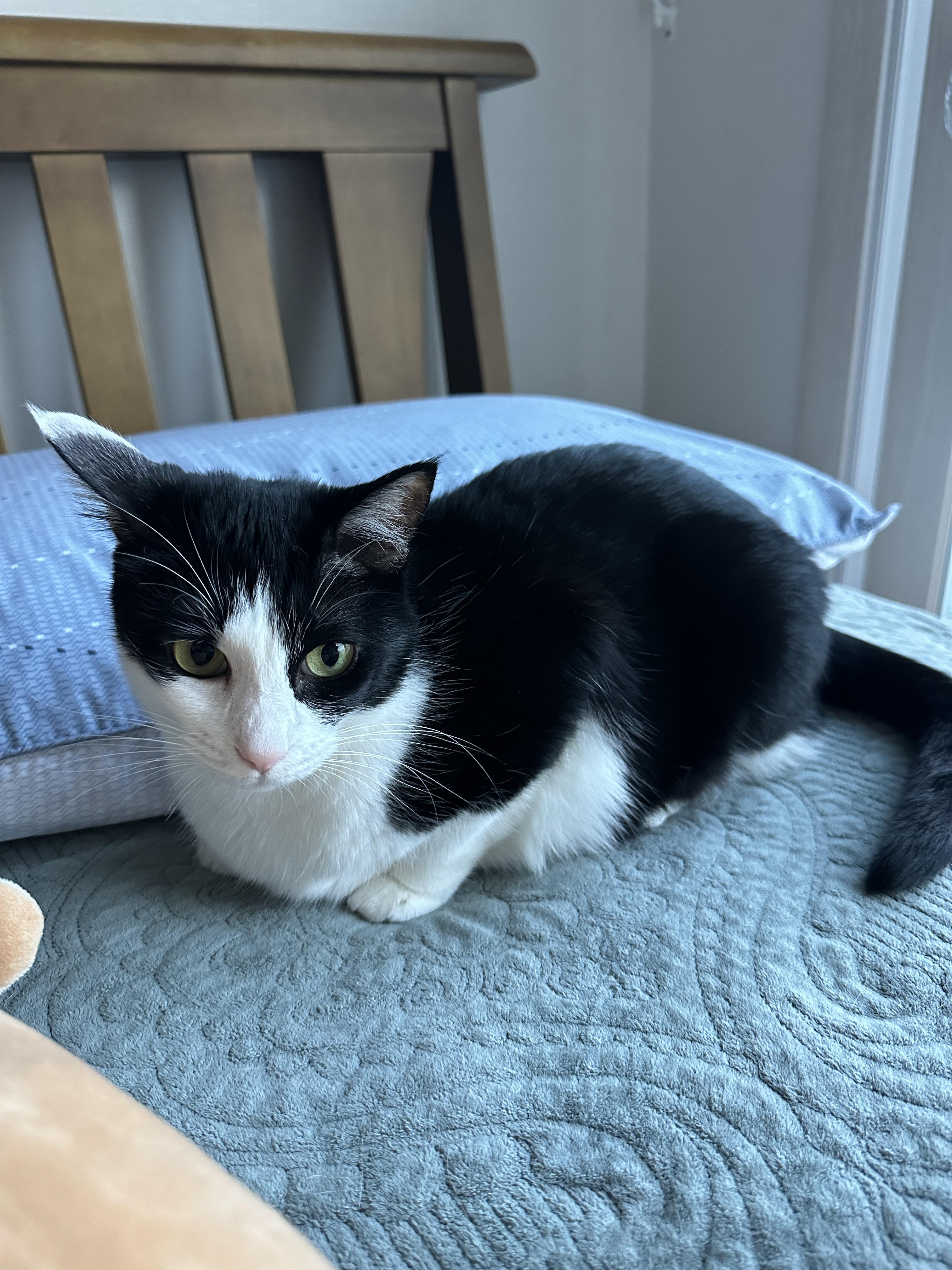 정신을_차린_두리_2