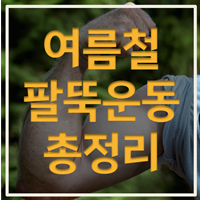 여름철 전완근 운동