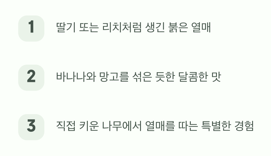 4. 눈과 입이 즐거운 특별한 선물&amp;#44; 산딸기 열매