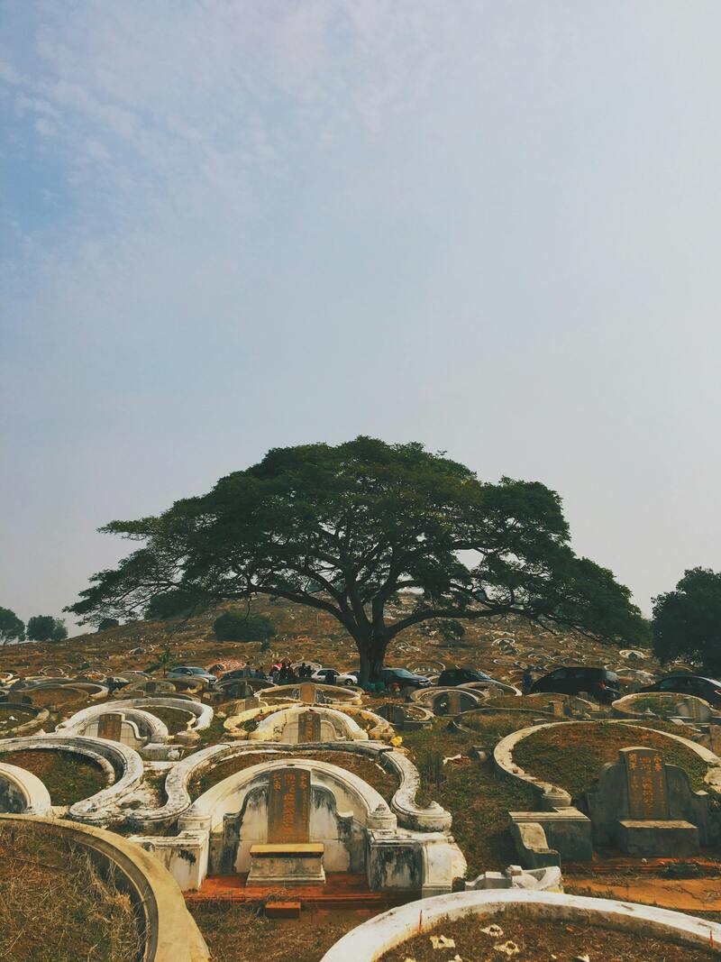 말라카의 중국식 묘지와 거대한 나무