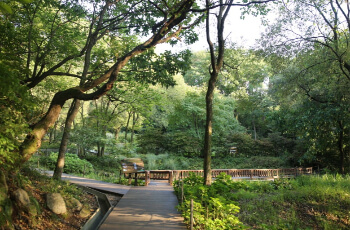 용인자연휴양림 2