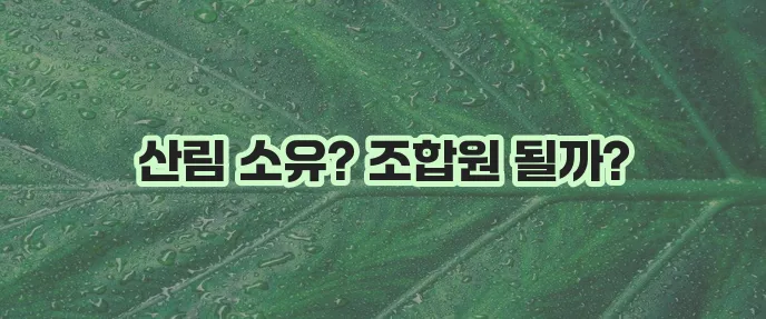 산림조합원 가입 조건