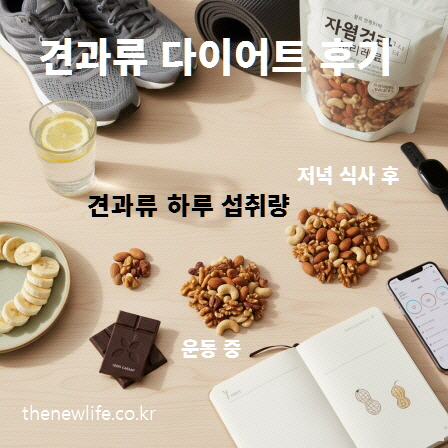 견과류 다이어트 후기 – 운동 중과 저녁 식사 후의 견과류 하루 섭취량 예시 이미지