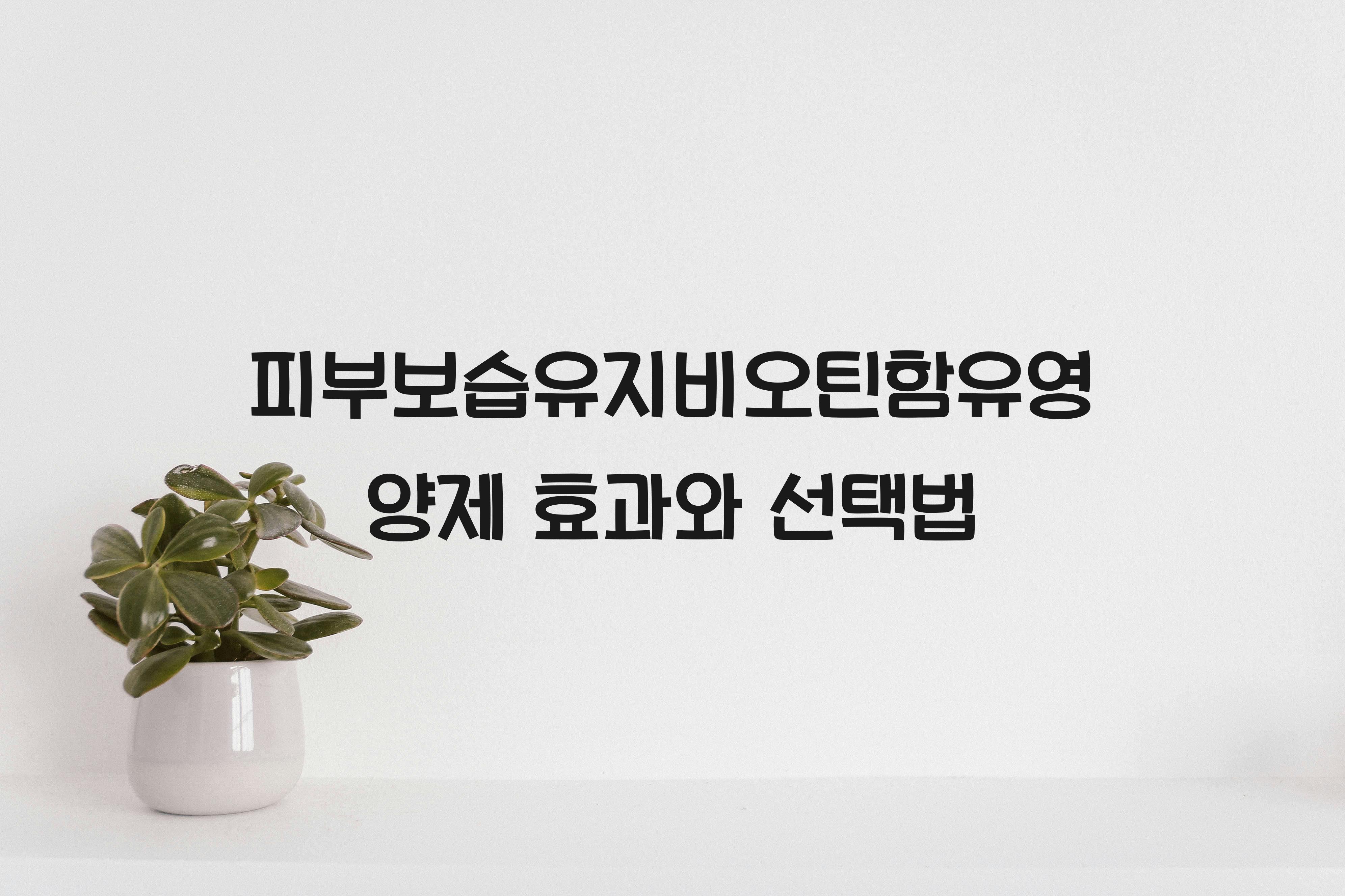 피부보습유지비오틴함유영양제