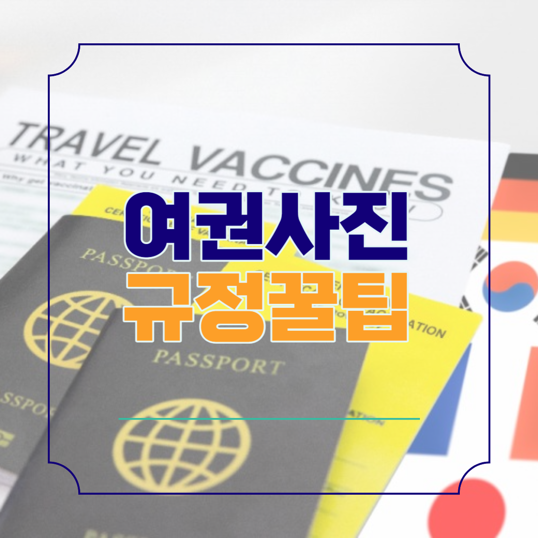 여권 사진 규정 _ 규격, 복장, 안경 등