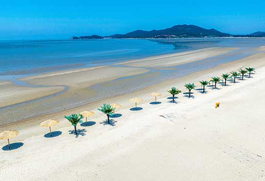 증도 짱뚱어해수욕장