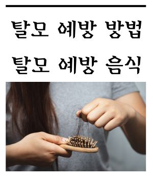 탈모 예방 방법&#44; 탈모 예방 음식