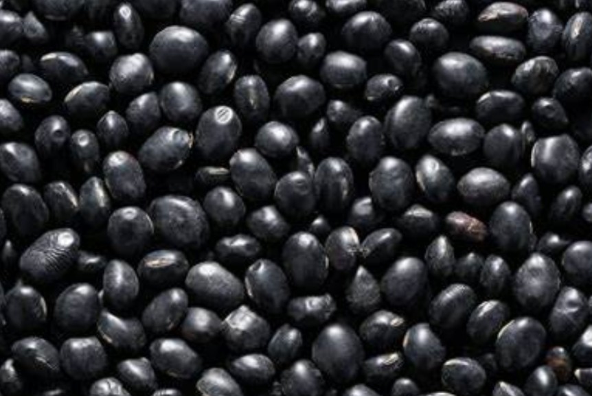 서리태가-많이-있습니다.