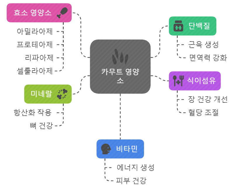 카무트 & 카무트 효소 영양소