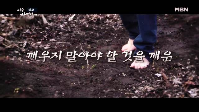 나는 자연인이다 당뇨합병증 심정지 건강 되찾은 후 산양삼 냉이 흙밟으며 맨발걷기 계곡물 자연인 원영철 소개 및 이승윤 출연 600회 다시보기