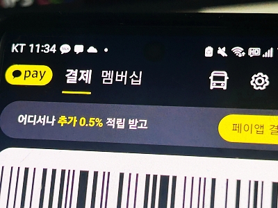 카카오페이 교통카드