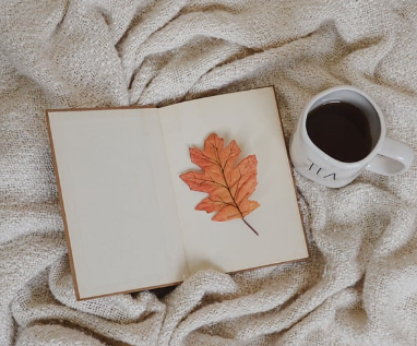 독서량과 학습 성과의 상관관계
국내외 연구에 따르면 독서량이 많은 학생일수록 시험 성적과 창의력 테스트 점수가 높게 나왔습니다. 국내 교육통계에 따르면, 중학생의 독서량이 월평균 5권 이상인 그룹은 그렇지 않은 그룹보다 국어 성적이 평균 15점 이상 높았습니다. 이는 독서가 단순