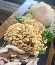 금이버섯