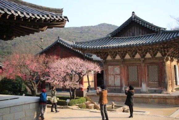 울산 양산 통도사