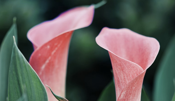 폐경 후의 올바른 운동 방법