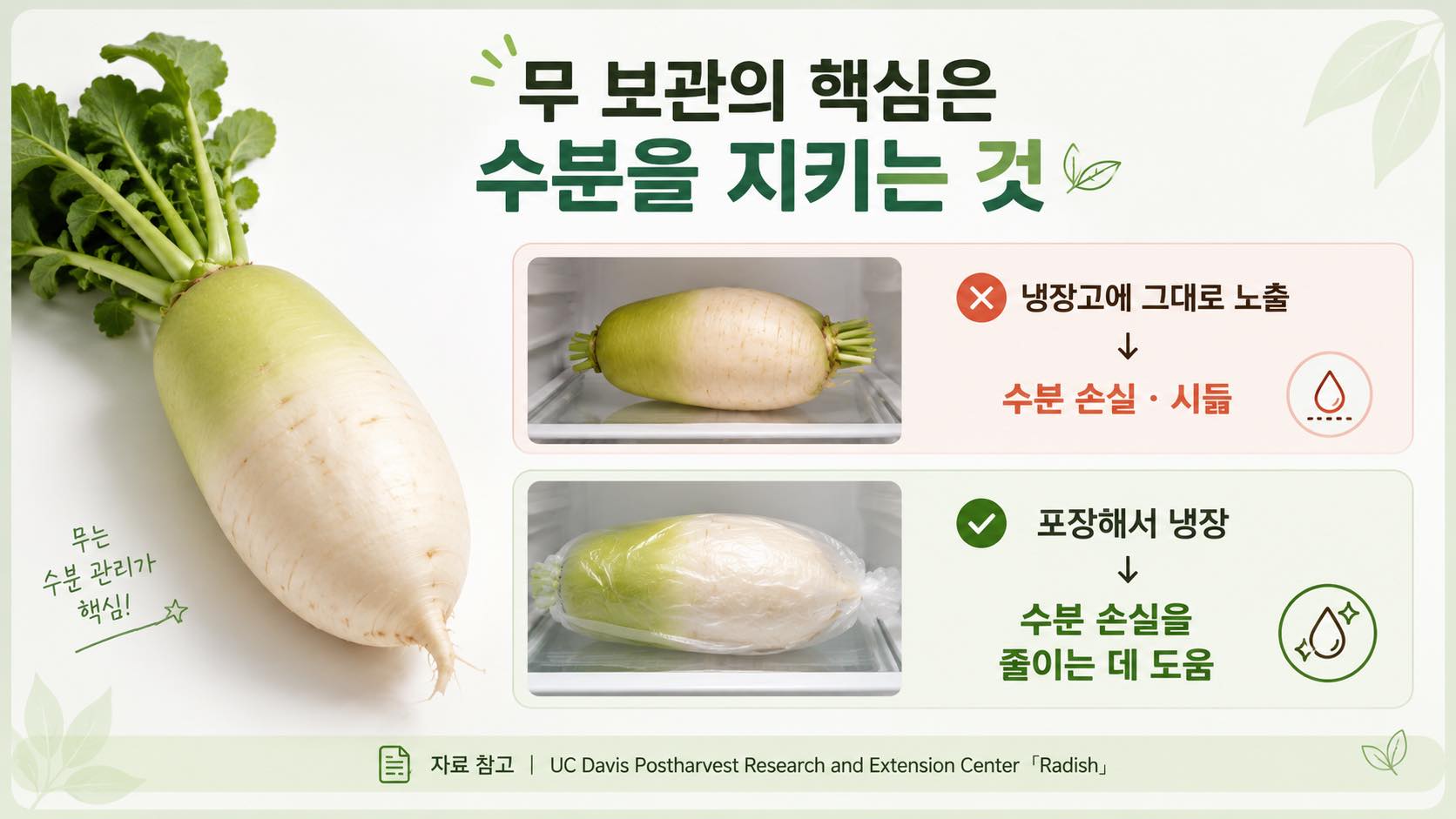 무 보관의 핵심은 수분을 지키는 것