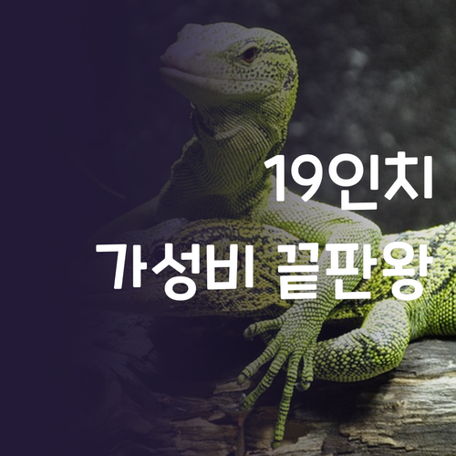 중고 19인치 모니터, 가성비 끝판왕..