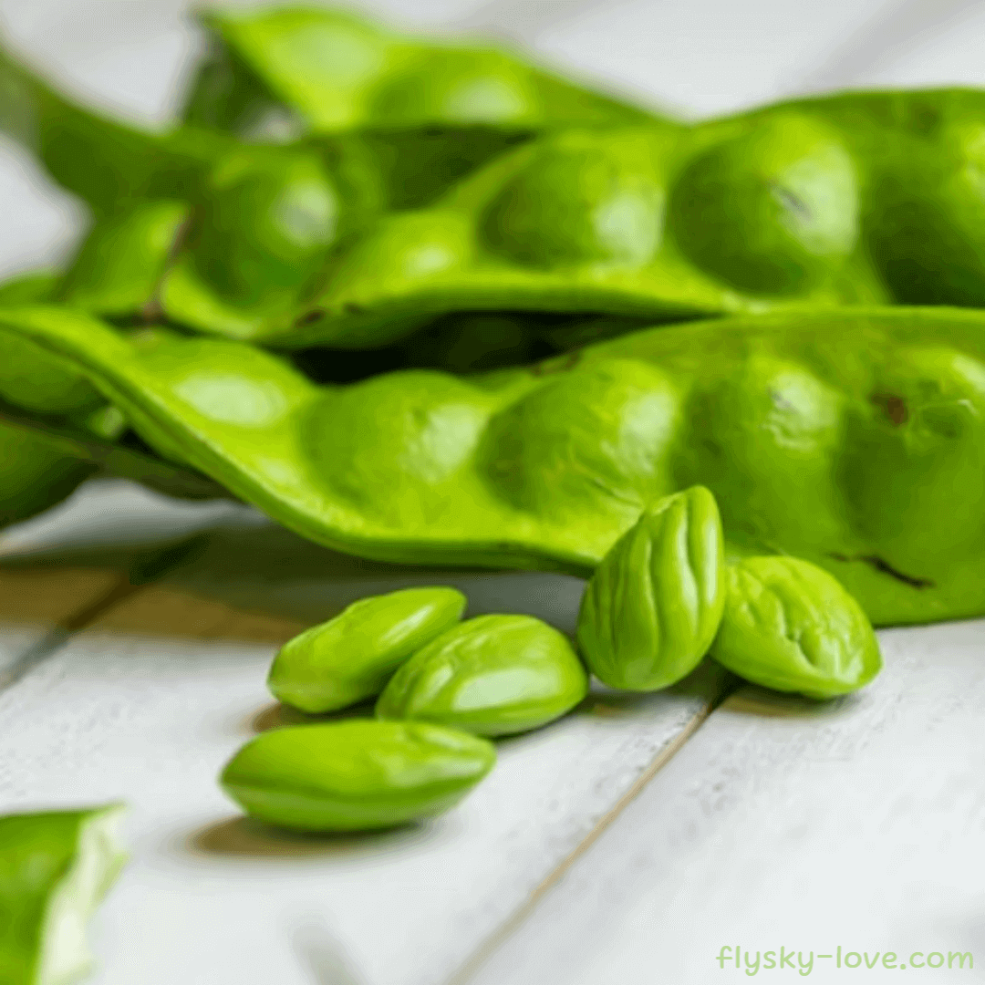 프타이 콩 (Petai Bean) 효능