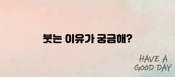 눈꺼풀이 붓는 이유