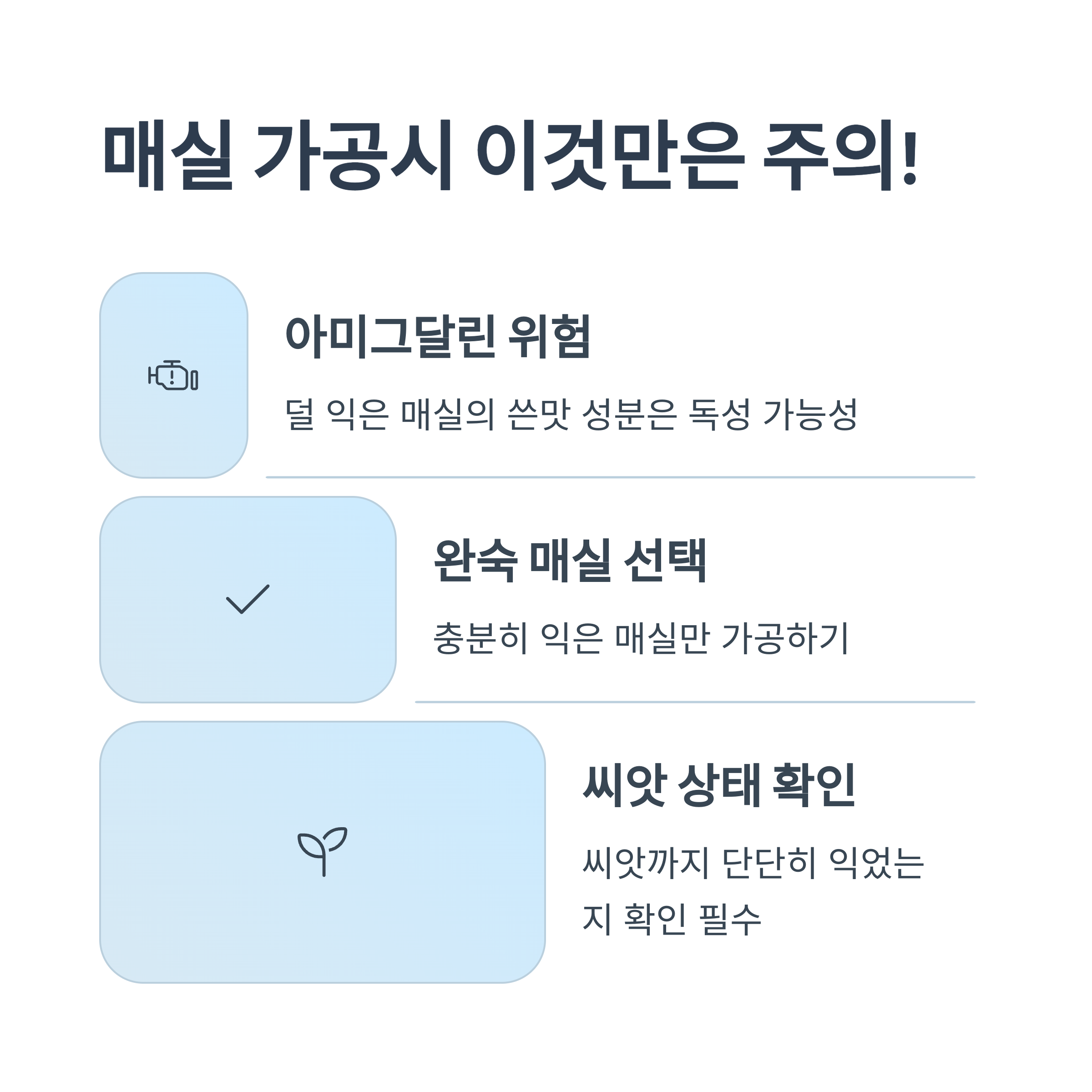 매실 가공 시 주의사항