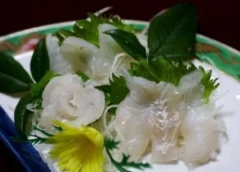 6월 제철회 종류별 신선한 해산물의 맛있는 향연_15