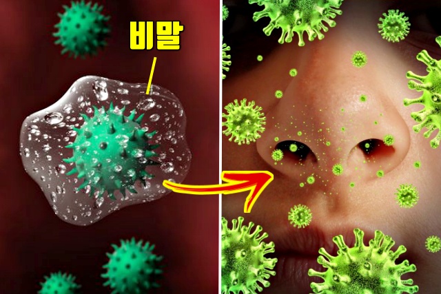 가습기 효능 코로나 바이러스 예방수칙 적정 실내습도, 건강 팁줌 매일꿀정보